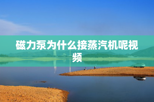 磁力泵為什么接蒸汽機呢視頻