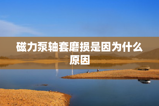 磁力泵軸套磨損是因為什么原因