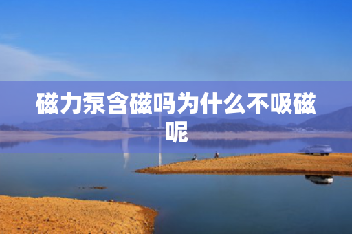 磁力泵含磁嗎為什么不吸磁呢