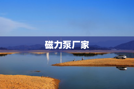 磁力泵廠家