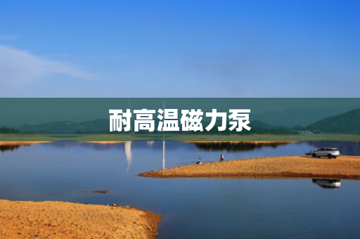 耐高溫磁力泵