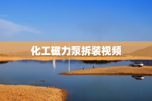 化工磁力泵拆裝視頻