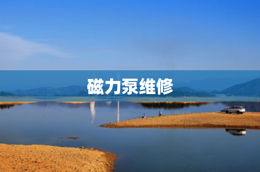 磁力泵維修