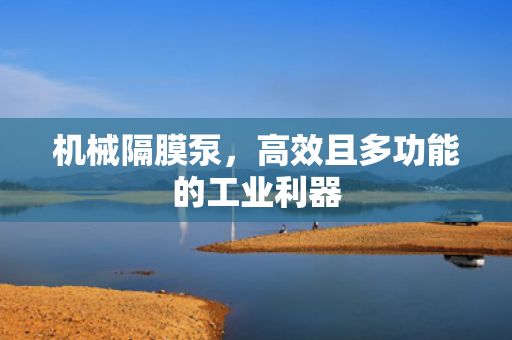 機械隔膜泵<div   id=