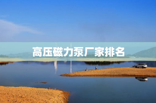 高壓磁力泵廠家排名