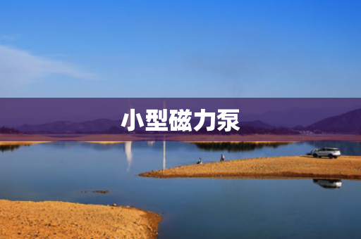 小型磁力泵