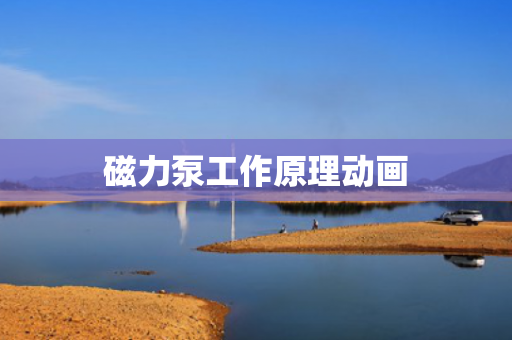 磁力泵工作原理動畫