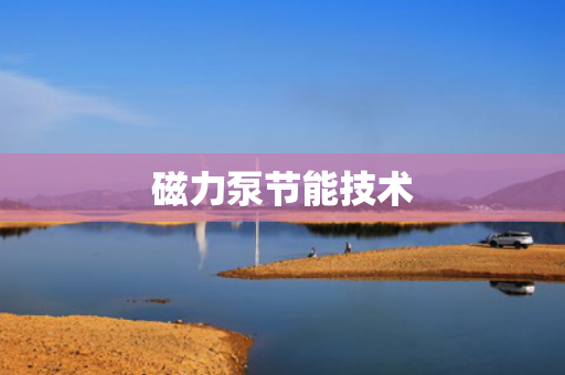 磁力泵節(jié)能技術(shù)