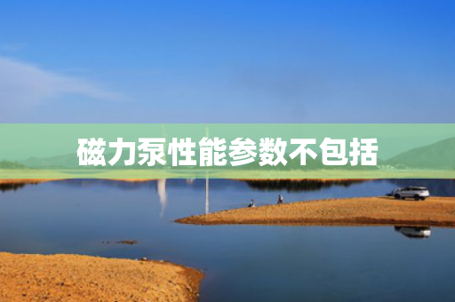 磁力泵性能參數(shù)不包括