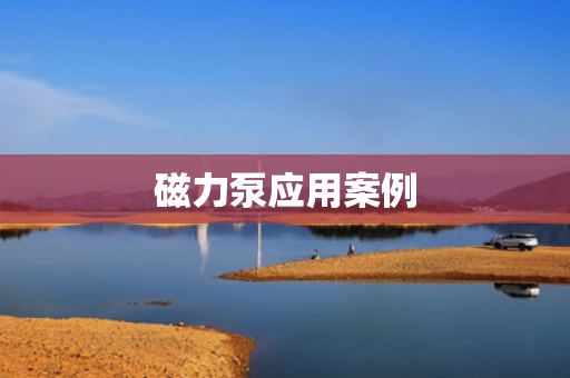 磁力泵應(yīng)用案例