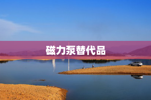 磁力泵替代品