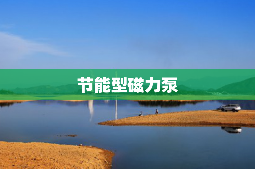 節(jié)能型磁力泵