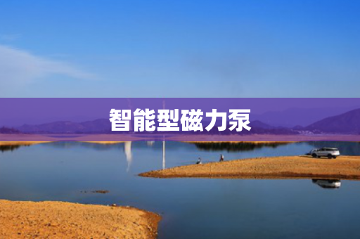 智能型磁力泵
