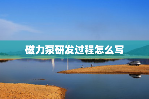 磁力泵研發(fā)過程怎么寫