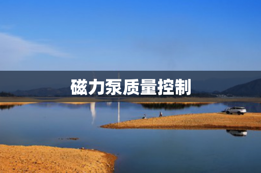 磁力泵質(zhì)量控制