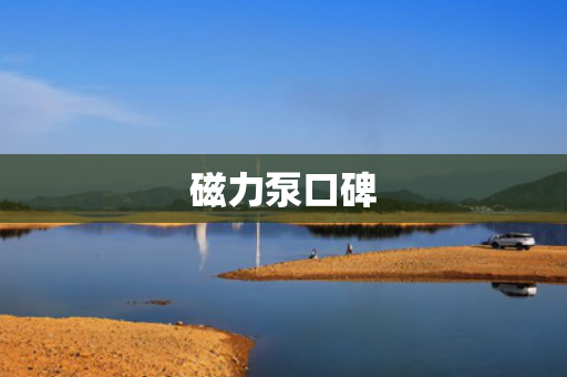 磁力泵口碑
