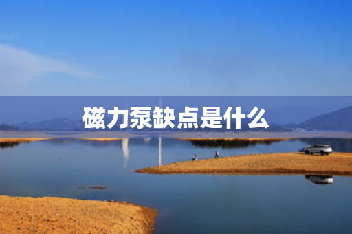 磁力泵缺點是什么