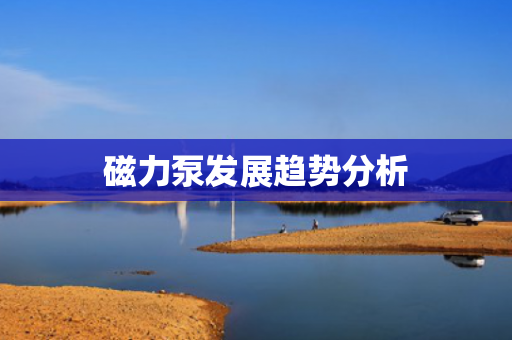 磁力泵發(fā)展趨勢(shì)分析