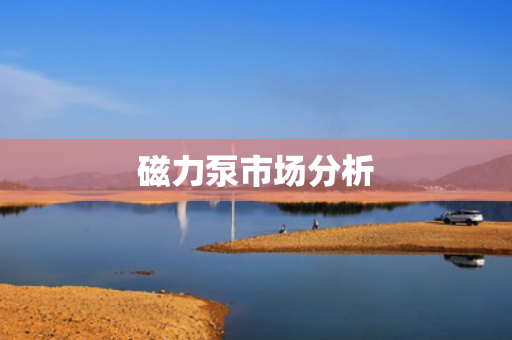 磁力泵市場(chǎng)分析