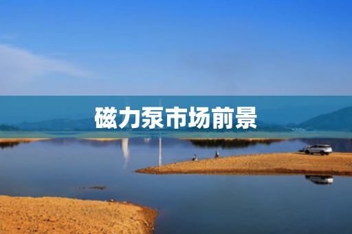 磁力泵市場(chǎng)前景