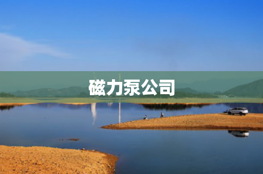磁力泵公司