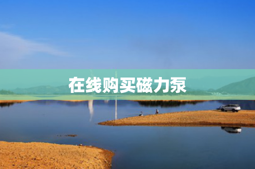 在線購買磁力泵