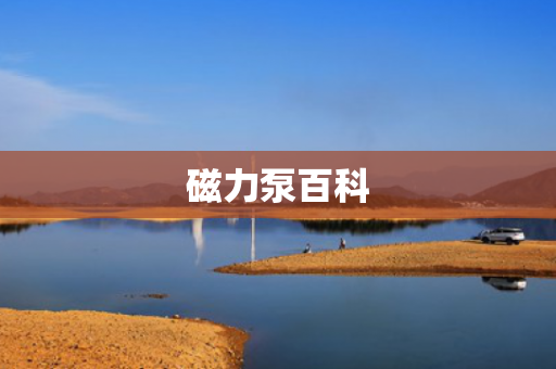 磁力泵百科
