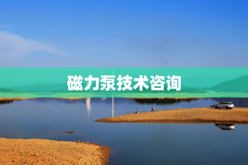 磁力泵技術(shù)咨詢