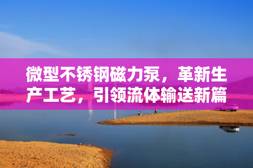 微型不銹鋼磁力泵<div   id=