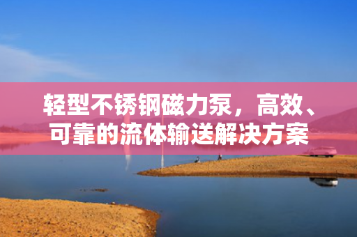 輕型不銹鋼磁力泵<div   id=
