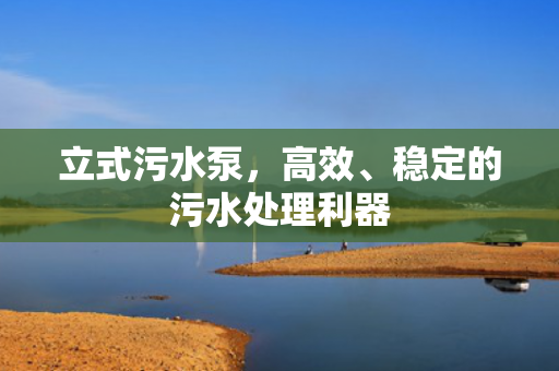 立式污水泵<div   id=