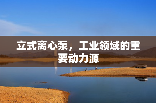 立式離心泵<div   id=
