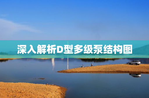 深入解析D型多級泵結(jié)構(gòu)圖