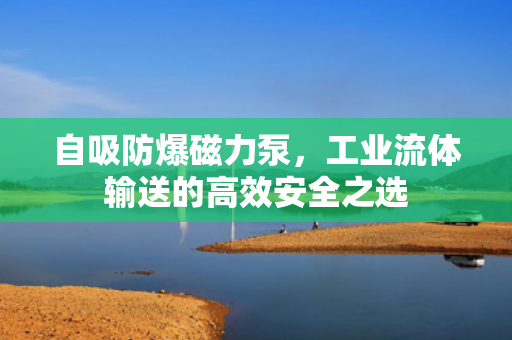 自吸防爆磁力泵，工業(yè)流體輸送的高效安全之選