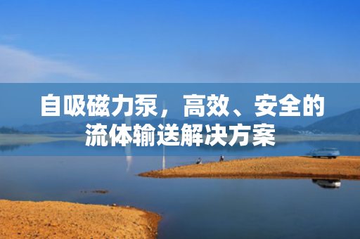 自吸磁力泵<div   id=