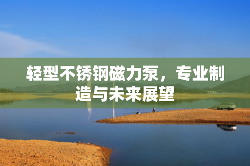 輕型不銹鋼磁力泵，專(zhuān)業(yè)制造與未來(lái)展望