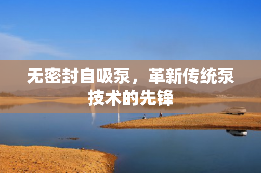 無密封自吸泵，革新傳統(tǒng)泵技術(shù)的先鋒