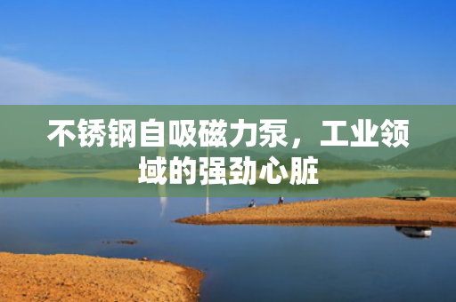 不銹鋼自吸磁力泵<div   id=