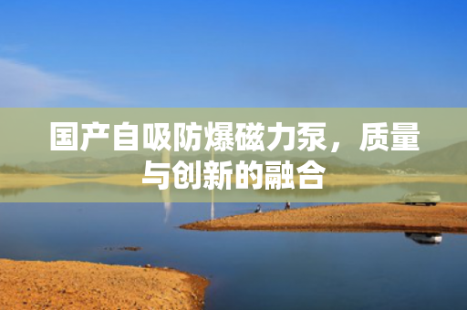國產(chǎn)自吸防爆磁力泵<div   id=