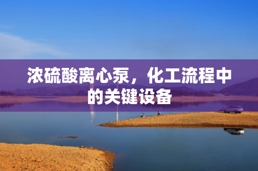 濃硫酸離心泵<div   id=