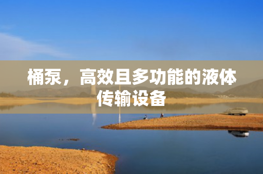 桶泵<div   id=