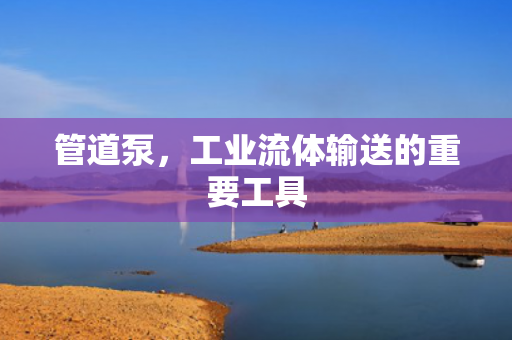 管道泵<div   id=