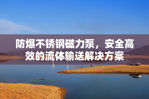 防爆不銹鋼磁力泵<div   id=
