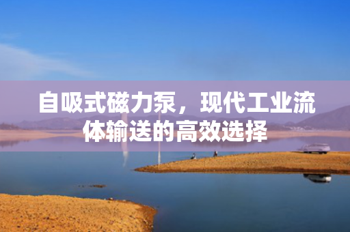 自吸式磁力泵<div   id=