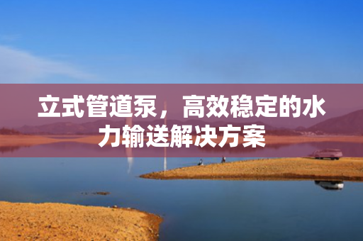 立式管道泵<div   id=