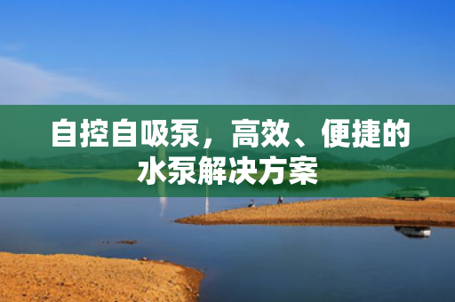 自控自吸泵<div   id=