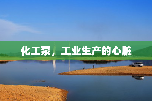 化工泵<div   id=