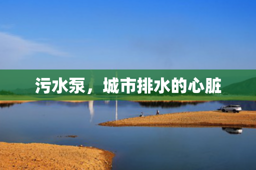 污水泵<div   id=