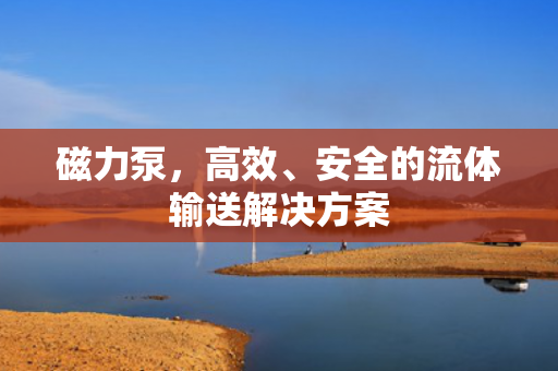 磁力泵<div   id=