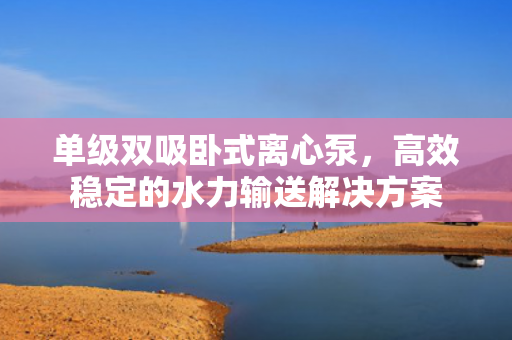 單級(jí)雙吸臥式離心泵<div   id=